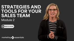 Module 2: Strategies and tools for your sales team